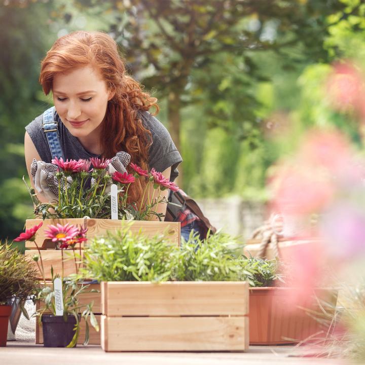 Actual product image Relaxdays 500x plant labels (0.10 cm, 1.50 cm)