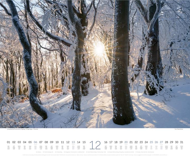 Immagine prodotto Wald Kalender 2026 (54 x 48 cm, Copertina rigida, Tedesco, Francese, Inglese)