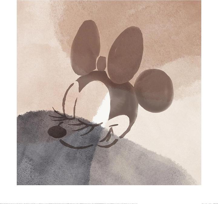 Produktbild Disney Bedruckt (40 x 40 cm)