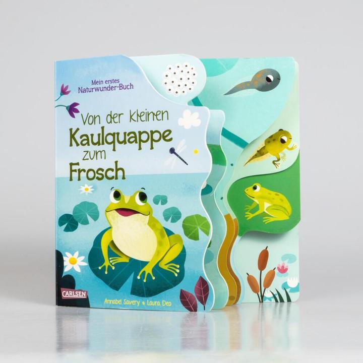 Actual product image From little tadpole to frog (German)