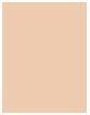 Actual product image Refectocil Brow Highlighter