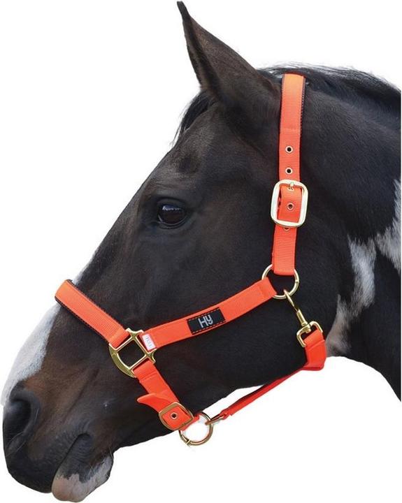 Immagine prodotto Hy Health Hy Grand Prix Halter