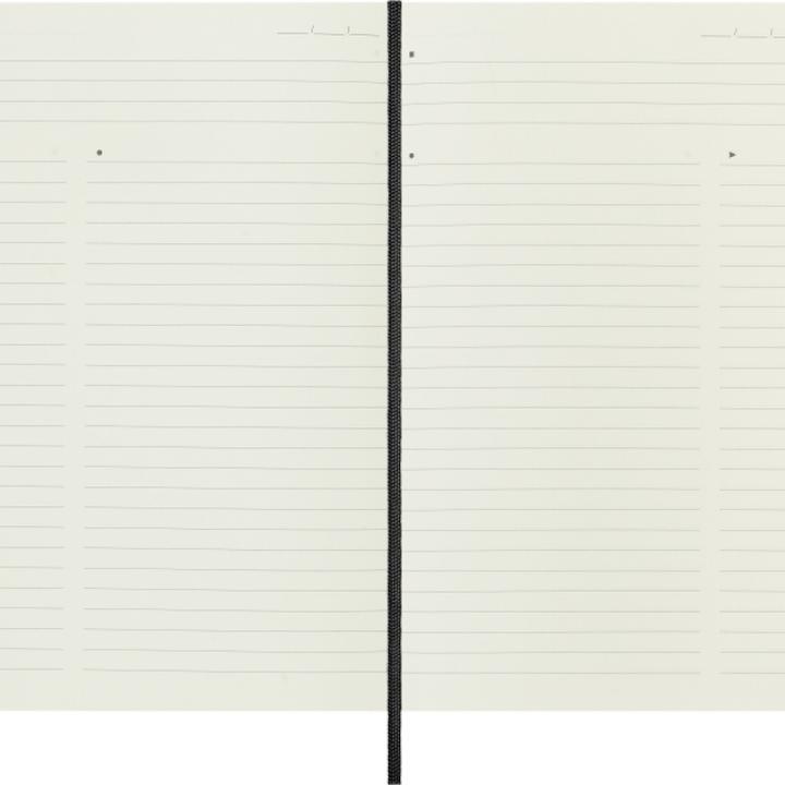 Actual product image Moleskine Professional Notebook L/A5, Soft Cover, Black (A6, Lined, Soft cover)