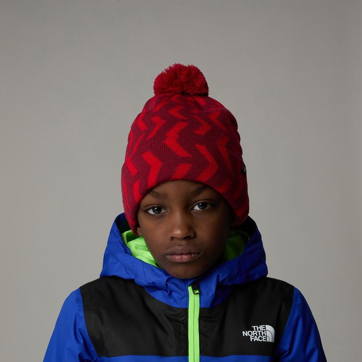 Actual product image North Face Ski Tuke