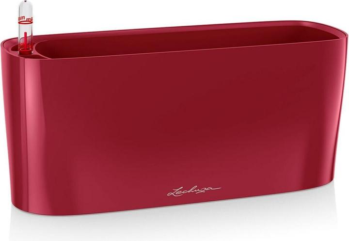 Actual product image Lechuza Delta 10 (11 cm)
