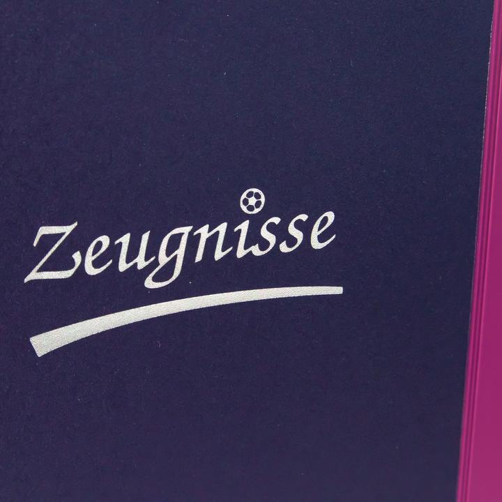 Immagine prodotto Idena Raccoglitore ad anelli per certificati A4 10 tasche viola (A4, 1 x)