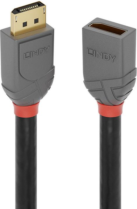 Actual product image Lindy DisplayPort — DisplayPort (2 m, DisplayPort)