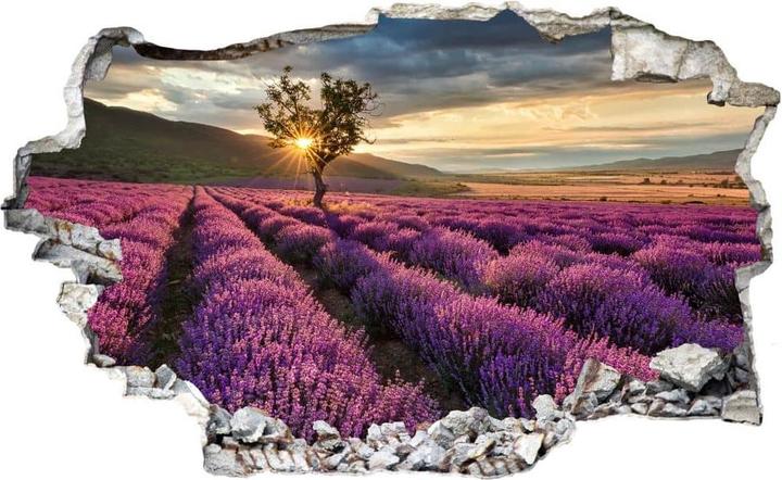 Immagine prodotto Trenddeko 3D Fiori di lavanda in Provenza (100 x 54 cm)