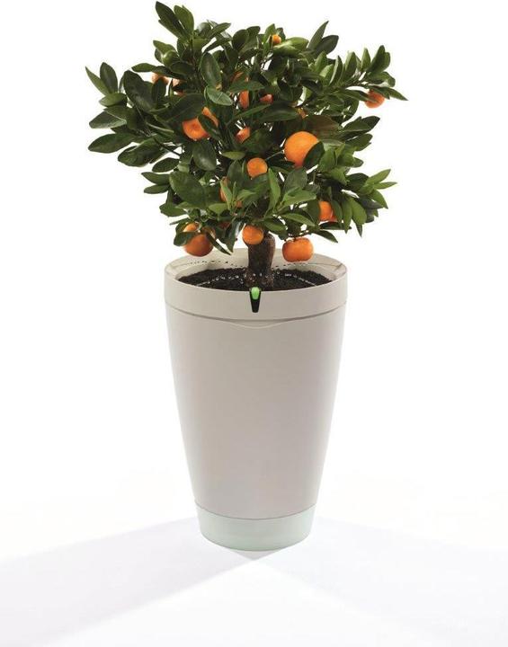 Produktbild Parrot Flower Power Pot Pflanzensensor