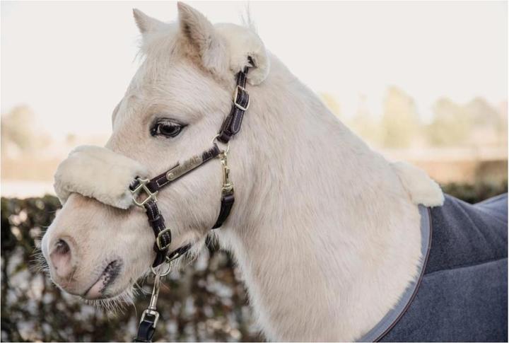 Actual product image Kentucky Horsewear Pony leather halter