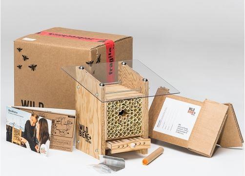 Image du produit Wildbiene BeeHome Observer (Abeille)