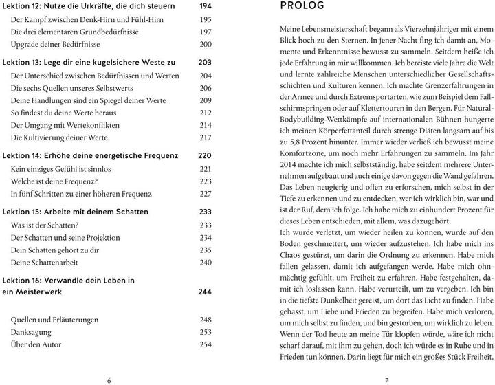 Produktbild Lebensmeisterschaft (Deutsch, Patrick Reiser, 2022)