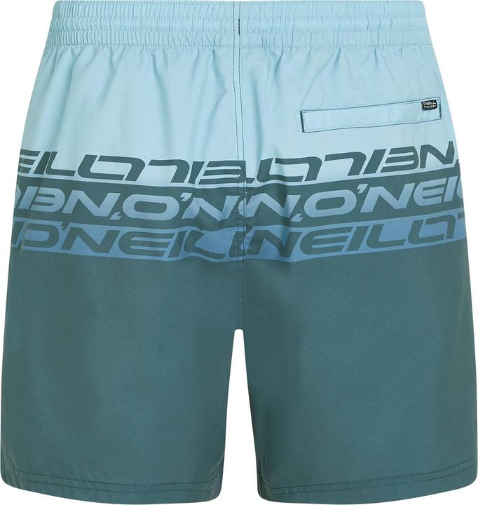 Actual product image O'Neill Cali Stripe 16" Swimshorts (S)