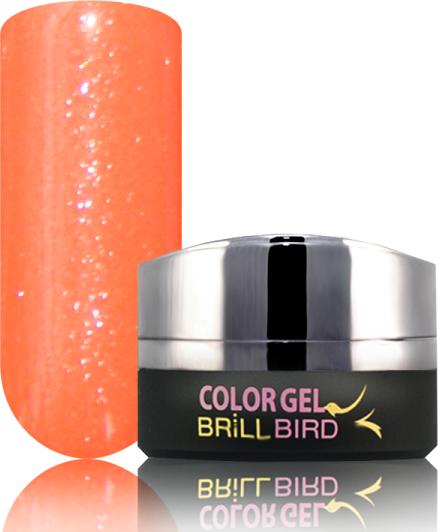 Immagine prodotto BrillBird F5 Gel colorato ghiacciato - 5ml (Smalto)