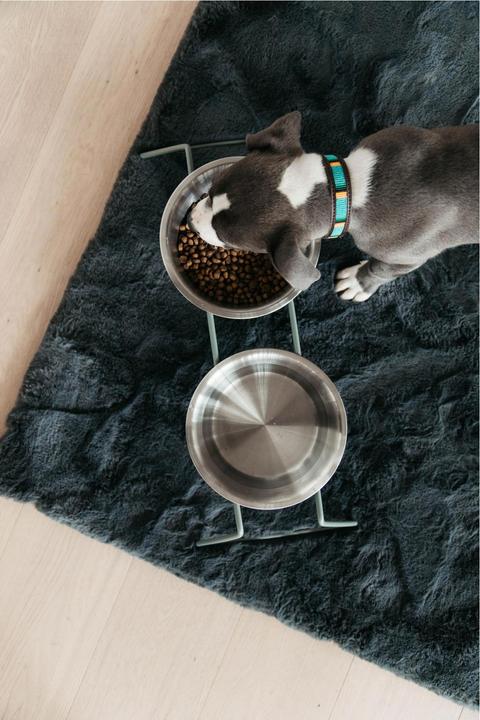 Produktbild Kentucky Dogwear Futternapf Comfort Feeder- (0.80 l)