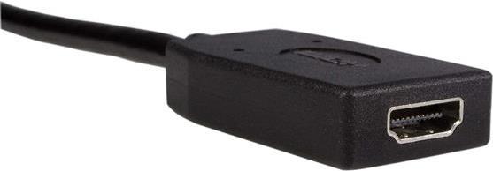 Productafbeelding StarTech Displayport Video Converter (HDMI, 24 cm)