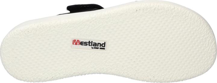 Actual product image Westland 25403-409 (42)