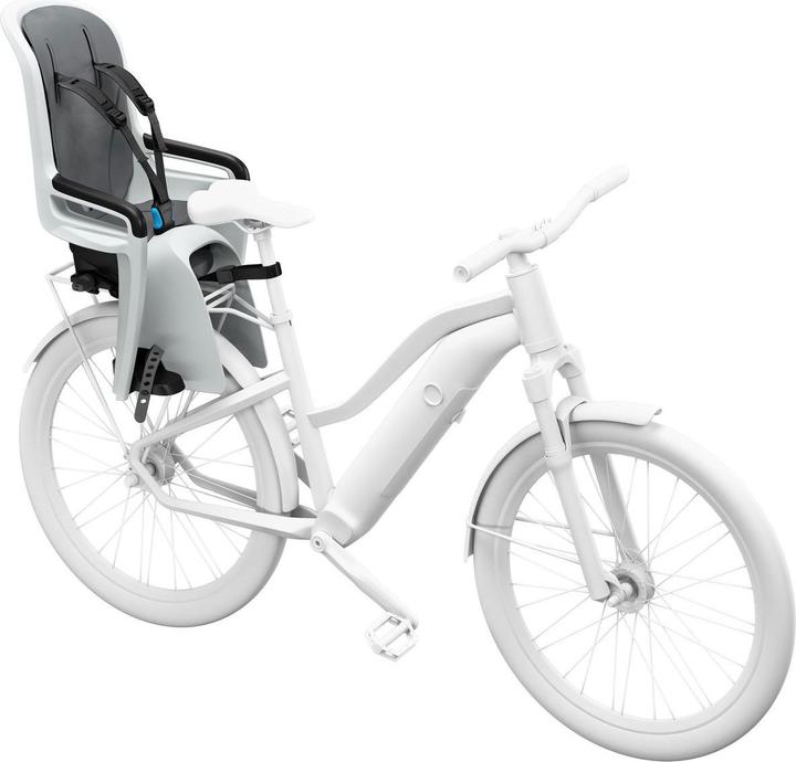 Actual product image Thule Ride Along 2 Rack Mount - Light Grey (Carrier)