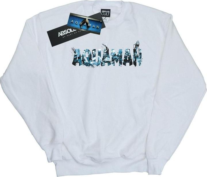 Aquaman Text Logo Sweatshirt