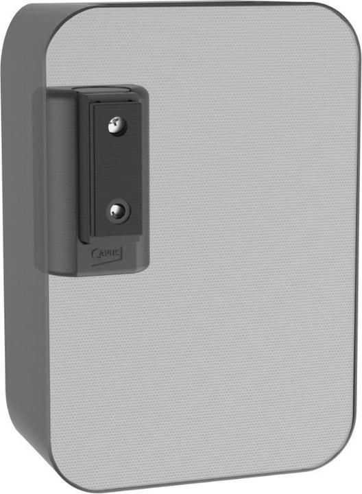 Actual product image Cavus CMBPFW - Bluesound (1 pcs., Wall installation, Rotatable, Tiltable)