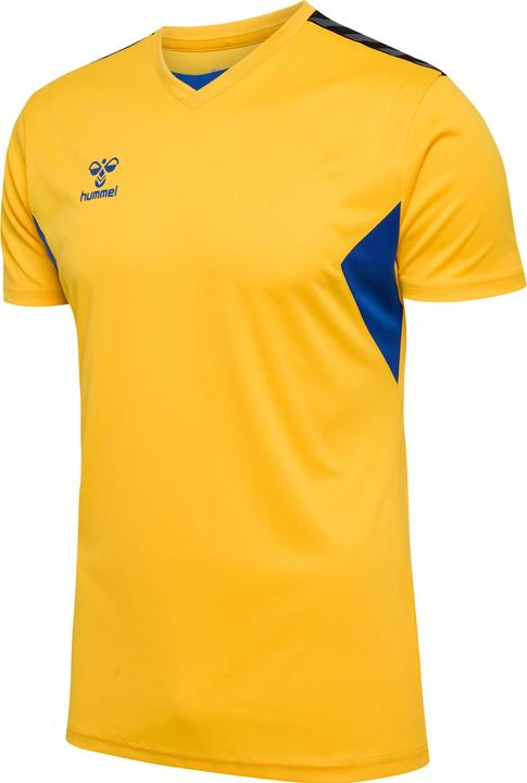 Image du produit hummel hmlAUTHENTIC PL JERSEY S/S (M)