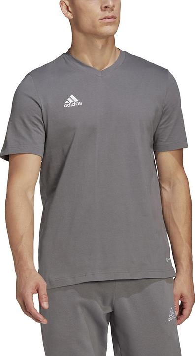 Actual product image adidas Entrada 22 T-shirt men (XL)
