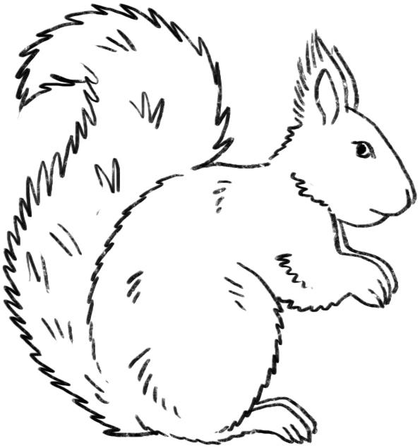 Image du produit 365 motifs de dessin pour chaque jour