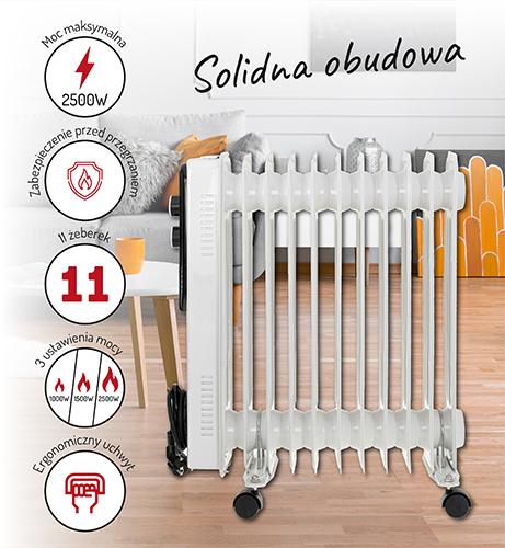 Image du produit Adler AD 7817 (2500 W)