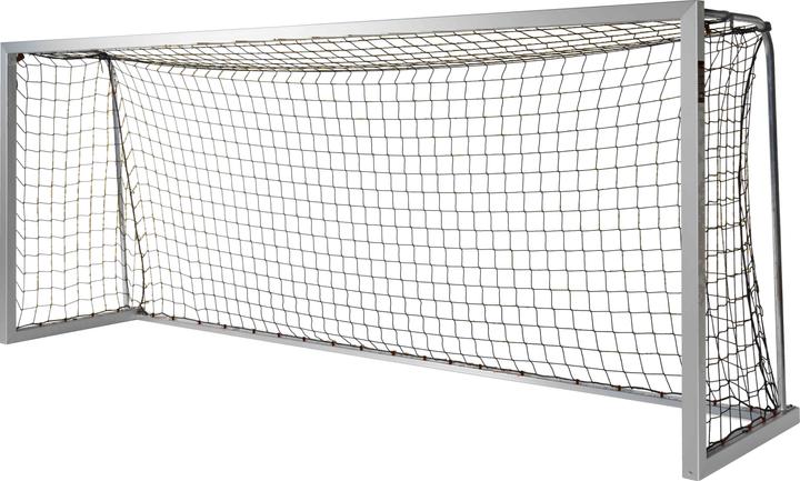 Sport-Thieme Jugend-Fussballtor BlueGoal