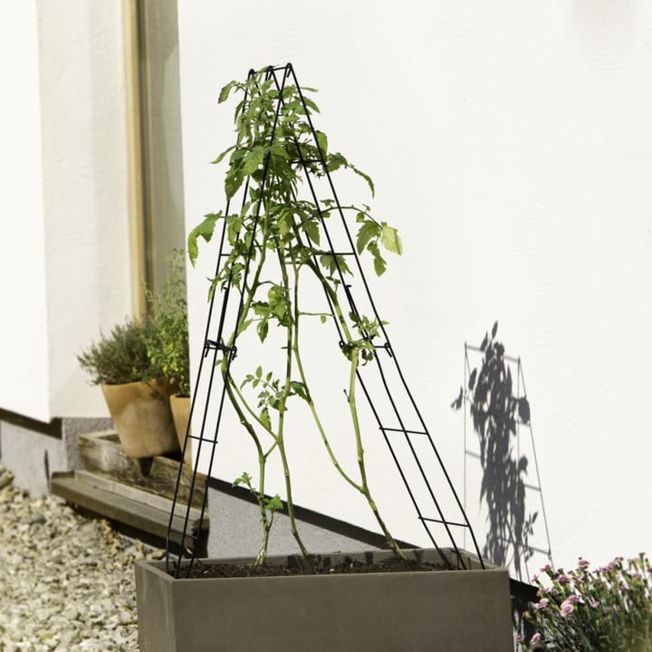 Produktbild Windhager Rankgitter klappbar (100 cm, 30 cm)