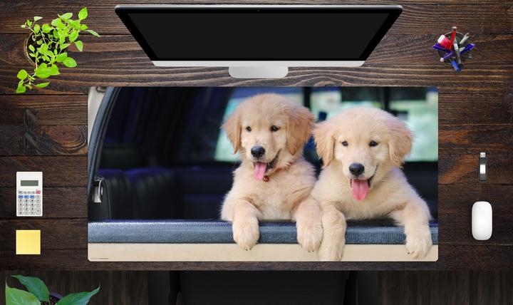 Produktbild CoverYourDesk Schreibtischunterlage Golden Retriever Welpen