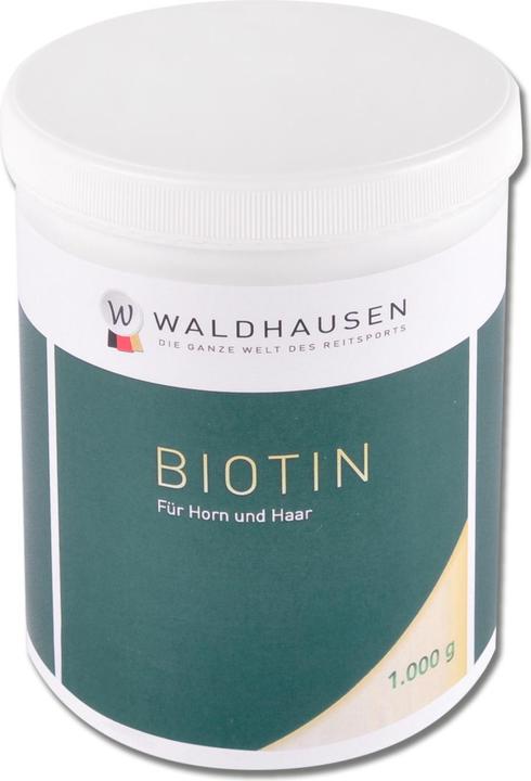Produktbild Waldhausen Biotin (1 x, 1000 g)
