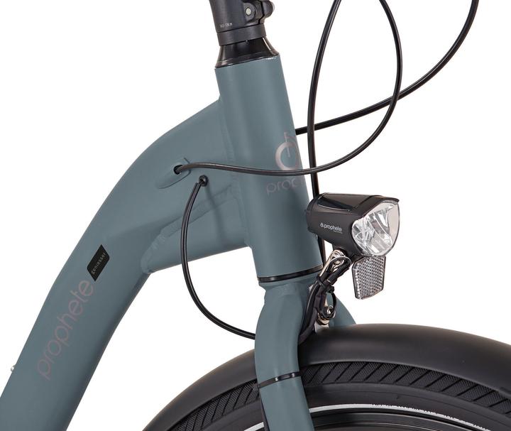 Produktbild Prophete Geniesser 20.BTC.10 (50 cm)