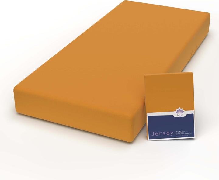 Image du produit Lotus Bettwaren Jersey Fix Comfort (140-160 x 200 cm)