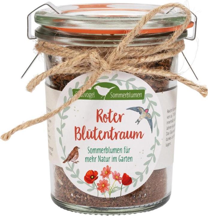 Roter Blütentraum - Sommerblumen für mehr Natur im Garten (Trockenblumen)
