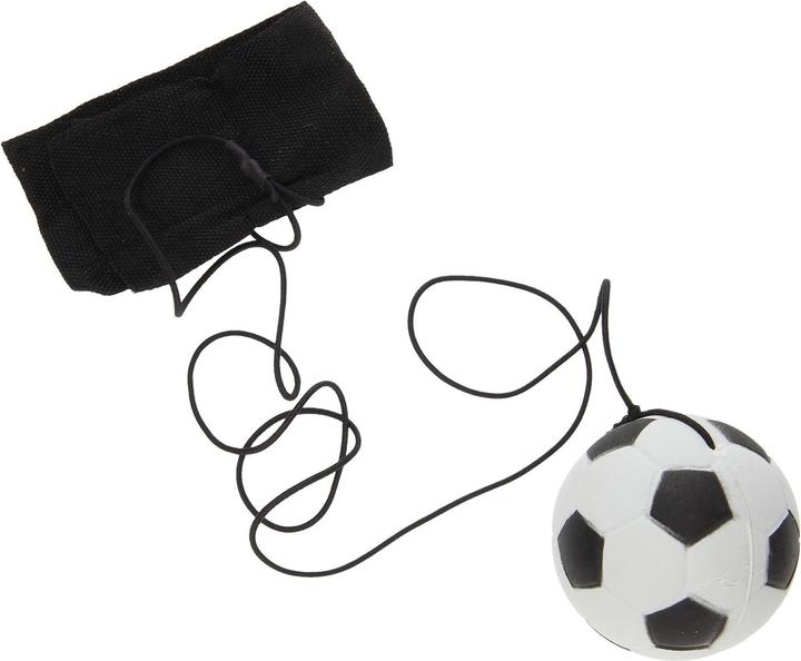 Produktbild Roost Returnball