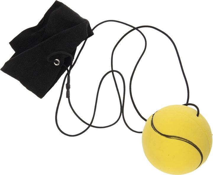 Produktbild Roost Returnball