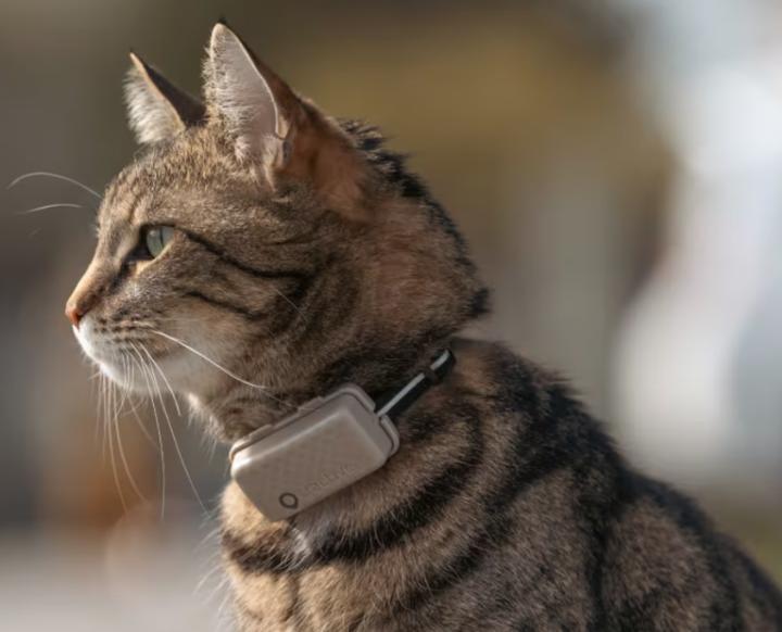 Immagine prodotto Tractive GPS Mini (Taglia unica, Gatto, Generale)