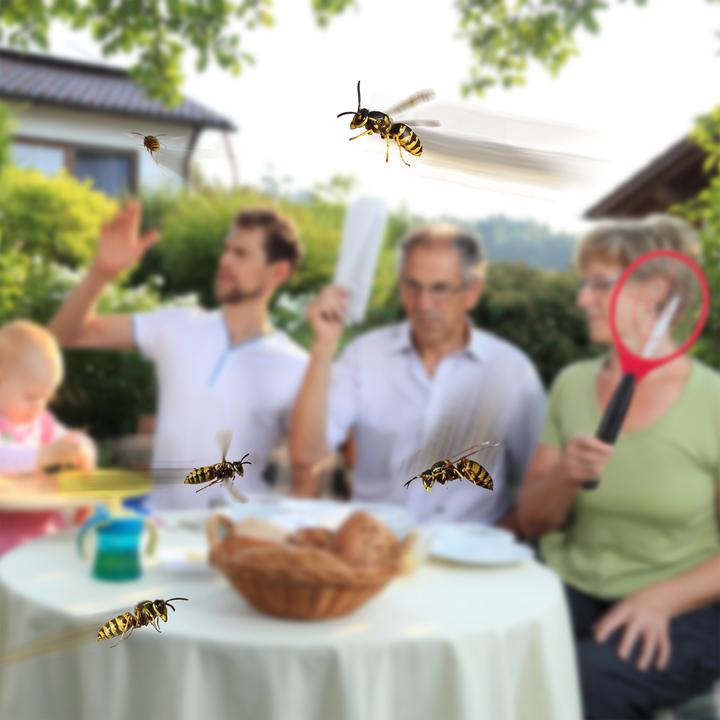Actual product image Relaxdays Electric fly swatter