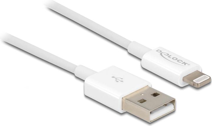 Delock USB A – Lightning (0.15 m, USB 2.0)