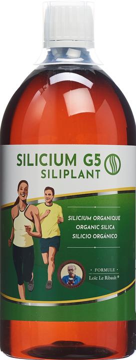 Silicium G5 Siliplant Liquid (1 Stück, Flüssigkeit, 1076 g)
