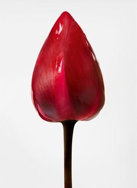 Immagine prodotto Shu Uemura Essence Absolue Olio Concentrato Lenitivo Nutriente per il Cuoio Capelluto (50 ml)