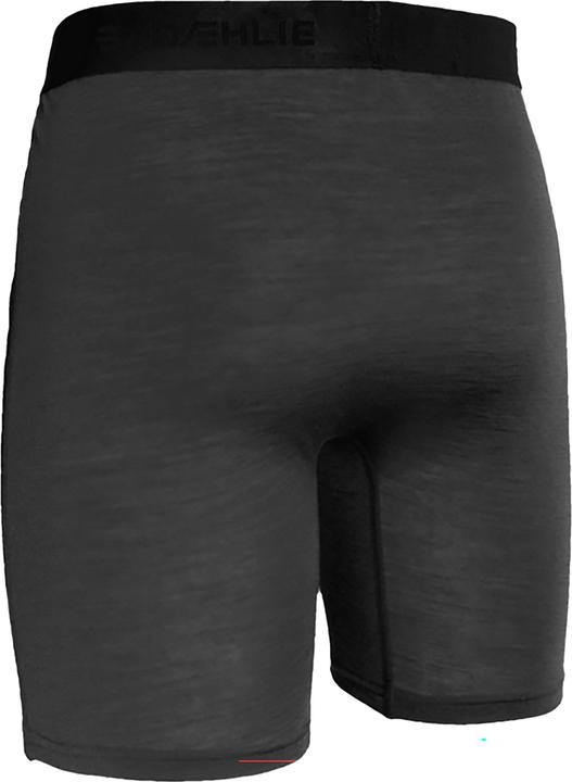 Actual product image Daehlie M Boxer Wind Wool (S)