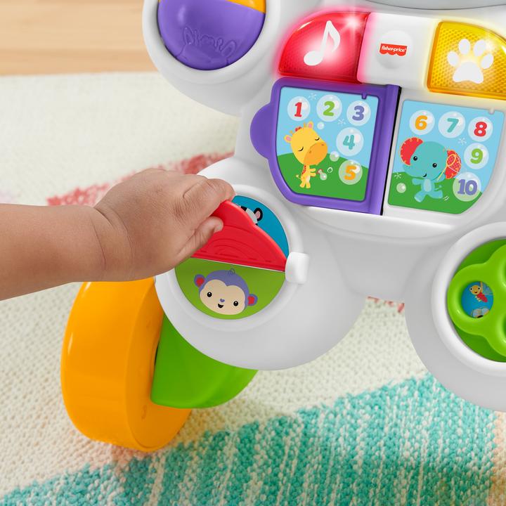 Actual product image Fisher-Price Learn with Me Zebra Walker