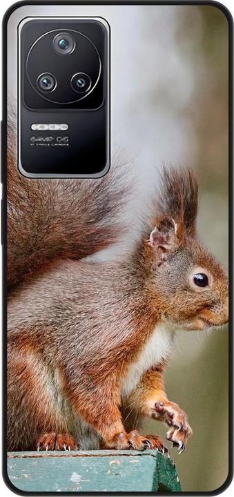 Squirrels