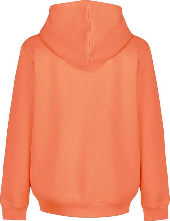 Produktbild Light and Shade Kapuzenpullover (M)