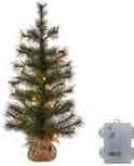 Immagine prodotto Sirius Alvin (60 cm)