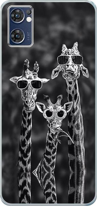 3 Giraffen