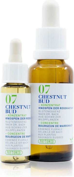 Phytomed Bachblüten No7 Knospen der Rosskastanie (1 Stück, Flüssigkeit, 24 g)