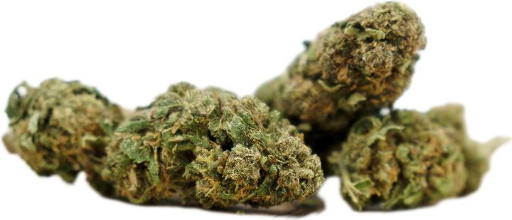 Actual product image Herba di Berna Orangello (45 g, Outdoor)